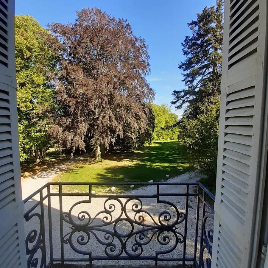 Chateau De Charnizay Екстер'єр фото